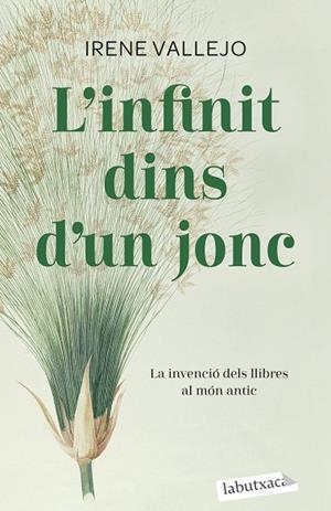 L'INFINIT DINS D'UN JONC. LA INVENCIÓ DELS LLIBRES AL MÓN ANTIC | 9788419107121 | VALLEJO, IRENE