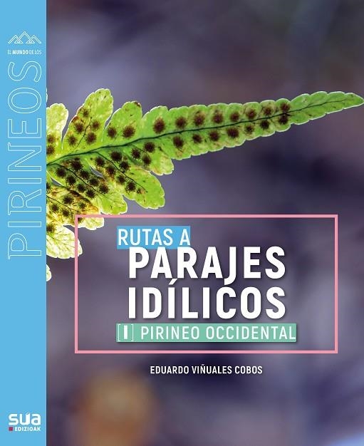 PIRINEO OCCIDENTAL. RUTAS A PARAJES IDÍLICOS 1 | 9788482167831 | VIÑUALES COBOS, EDUARDO