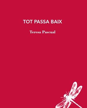 TOT PASSA ABAIX | 9788412577426 | PASCUAL,TERESA