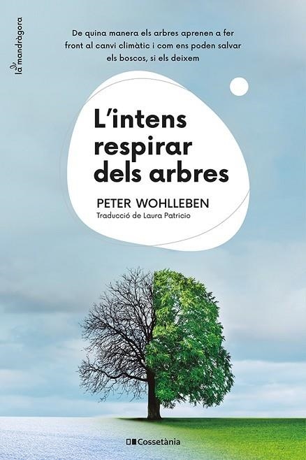 L'INTENS RESPIRAR DELS ARBRES. DE QUINA MANERA ELS ARBRES APRENEN A FER FRONT AL CANVI CLIMÀTIC I COM ENS PODEN SALVAR ELS BOSCOS, SI ELS DEIXEM | 9788413562087 | WOHLLEBEN, PETER
