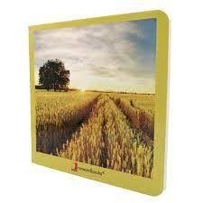 EL CAMPO | 9788412171099 | AA.VV.