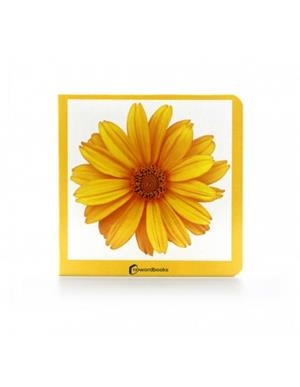 AMARILLO | 9788412534429 | AA.VV.