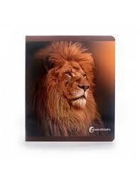 ANIMALES DE LA SABANA | 9788412344554 | AA.VV.