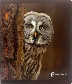 ANIMALES DEL BOSQUE | 9788412344578 | ALMA FLOWERS