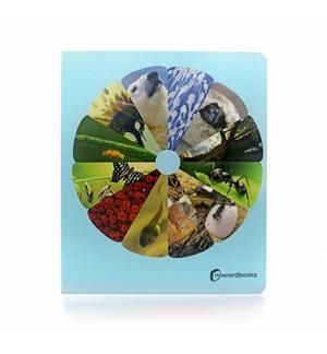 LOS CILOS DE LA VIDA | 9788412344530 | AA.VV.