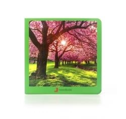 PRIMAVERA | 9788412171006 | AA.VV.