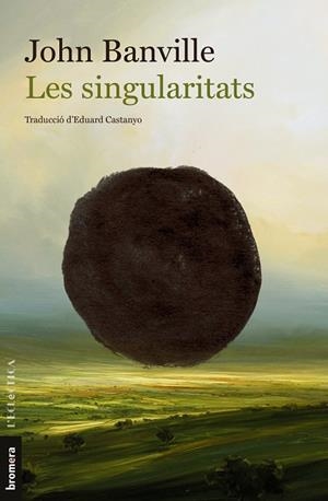 LES SINGULARITATS  | 9788413584225 | BANVILLE, JOHN