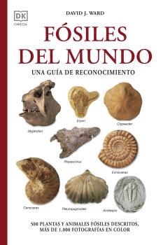 FÓSILES DEL MUNDO. UNA GUÍA DE RECONOCIMIENTO | 9788428217569 | WARD, DAVID J.