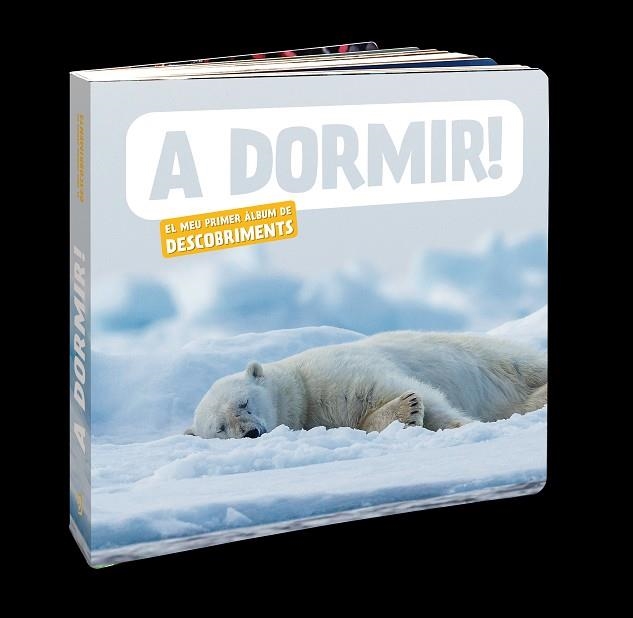 A DORMIR! | 9788418762697