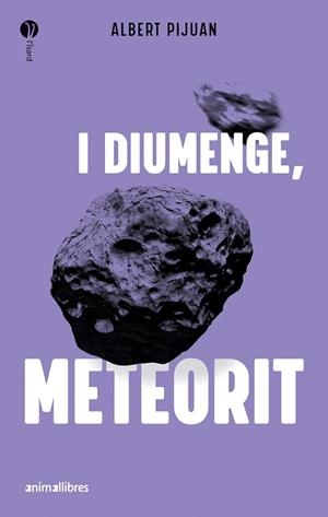 I DIUMENGE, METEORIT (XXV PREMI LLIBRETER 2024) | 9788419659415 | ALBERT PIJUAN