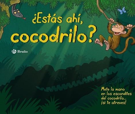 ¿ESTÁS AHÍ, COCODRILO? | 9788469604137