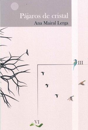 PÁJAROS DE CRISTAL | 9788412752618 | MAIRAL LERGA, ANA