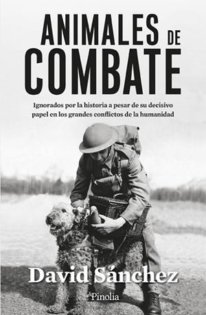 ANIMALES DE COMBATE | 9788419878229 | DAVID SÁNCHEZ