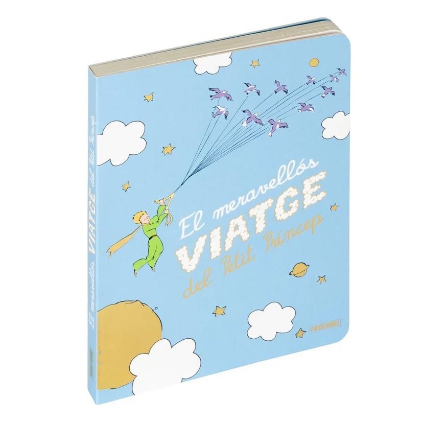 EL MERAVELLOS VIATGE DEL PETIT PRINCEP | 9788411508605