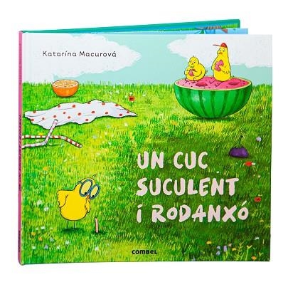 UN CUC SUCULENT I RODANXÓ (PROVAR COSES DIFERENTS) | 9788411580861 | MACUROVÁ, KATARÍNA
