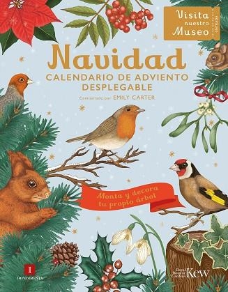 NAVIDAD. CALENDARIO DE ADVIENTO DESPLEGABLE | 9788419581624 | CARTER, EMILY