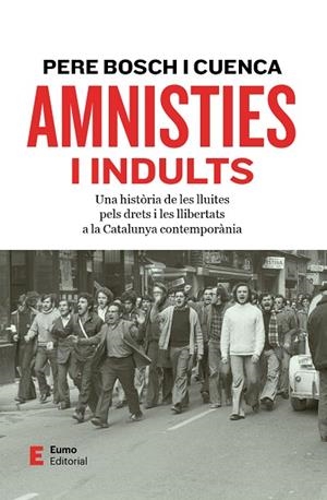 AMNISTIES I INDULTS UNA HISTÒRIA DE LES LLUITES PELS DRETS I LES LLIBERTATS A LA CATALUNYA CONTEMPOR | 9788497668545 | BOSCH I CUENCA, PERE