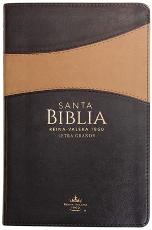 SANTA BIBLIA REINA VALERA 1960 LETRA GRANDE | 9798885160254