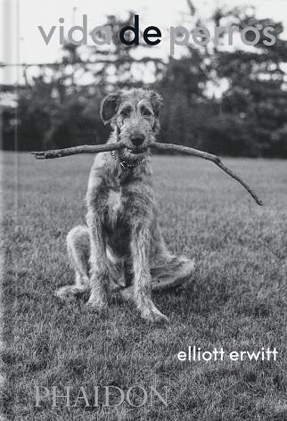 VIDA DE PERROS | 9781838669744 | ERWITT, ELLIOTT/WODEHOUSE, P.G.