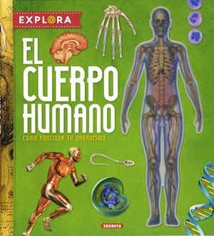 EL CUERPO HUMANO | 9788410846791 | MONTORO, JORGE