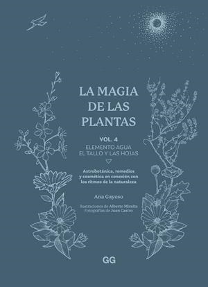 LA MAGIA DE LAS PLANTAS VOL.4 ELEMENTO AGUA. EL TALLO Y LAS HOJAS | 9788425235641 | GAYOSO, ANA