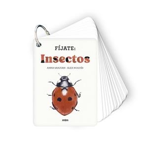 FÍJATE: INSECTOS. PEQUEÑA GUÍA PARA INICIARSE EN LA OBSERVACIÓN DE INSECTOS | 9788410407183 | SANJUAN LLORENS, ANNA/NOGUÉS, ALEX