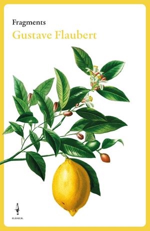 FRAGMENTS GUSTAVE FLAUBERT | 9788409684007 | FLAUBERT, GUSTAVE