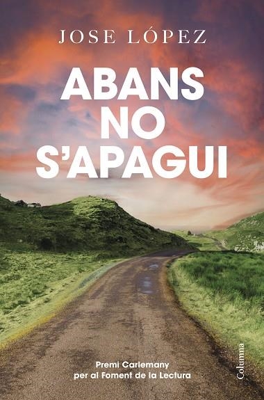 ABANS NO S´APAGUI. XIV PREMI CARLEMANY PER AL FOMENT DE LA LECTURA | 9788466433778 | LOPEZ, JOSE