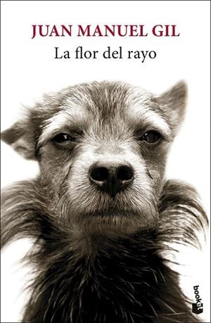 LA FLOR DEL RAYO | 9788432244827 | GIL, JUAN MANUEL