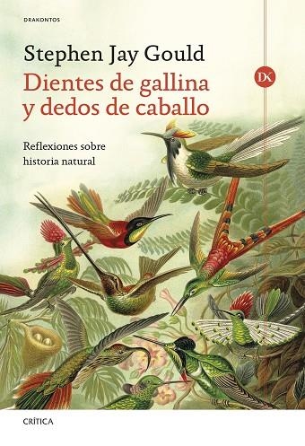 DIENTES DE GALLINA Y DEDOS DE CABALLO. REFLEXIONES SOBRE HISTORIA NATURAL | 9788491997849 | GOULD, STEPHEN JAY