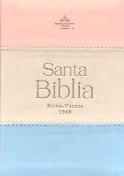 BIBLIA REINA VALERA BOLSILLO TRICOLOR | 9788885165502