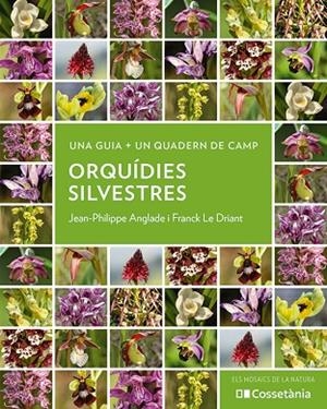 ORQUÍDIES SILVESTRES. UNA GUIA + UN QUADERN DE CAMP | 9788413564920 | ANGLADE, JEAN-PHILIPPE/LE DRIANT, FRANCK
