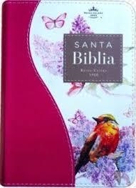 SANTA BIBLIA REINA VALERA BOLSILLO | 9798885165426