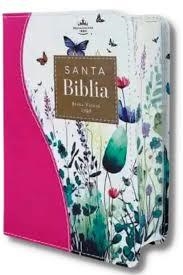 SANTA BIBLIA REINA VALERA BOLSILLO | 9798885165396