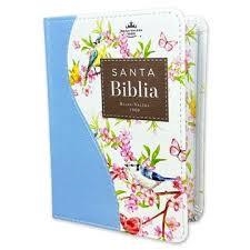 SANTA BIBLIA REINA VALERA BOLSILLO | 9798885165402