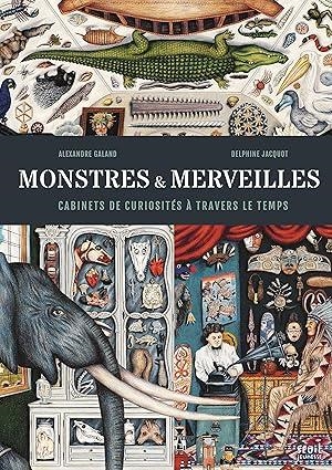 MONSTRES ET MERVEILLES. CABINETS DE CURIOSITÉS À TRAVERS LE TEMPS | 9791023510416 | GALAND,ALEXANDRE