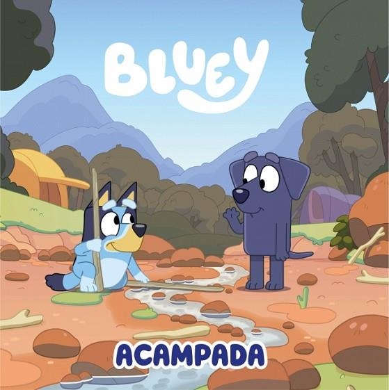 ACAMPADA | 9788448870980