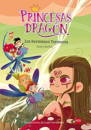 LOS HERMANOS TORMENTA  PRICESAS DRAGON 5 | 9788491073116 | MAÑAS ROMERO, PEDRO