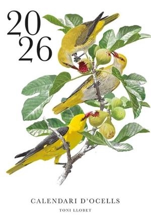 CALENDARI D'OCELLS 2026 | 9788413565255 | LLOBET, TONI
