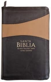 BIBLIA REINA VALERA. MANUAL LETRA GRANDE PIEL MARRON | 9798885160377 | AA.VV.