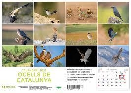 CALENDARI OCELLS DE CATALUNYA 2026 | 9781901175172