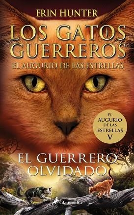 LOS GATOS GUERREROS. EL AUGURIO DE LAS ESTRELLAS 5 - EL GUERRERO OLVIDADO | 9788419275318 | HUNTER, ERIN