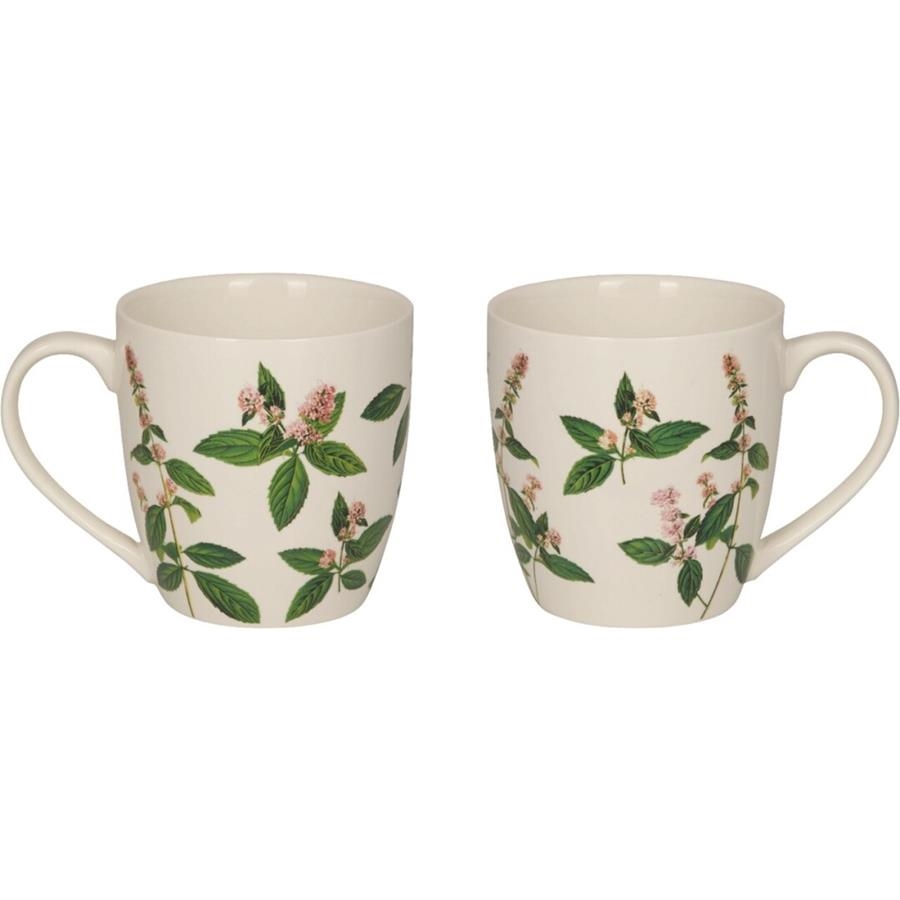 TAZA HIERBAS AROMATICAS | 4029753220929
