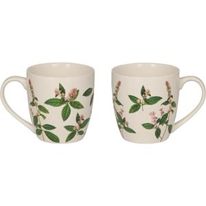 TAZA HIERBAS AROMATICAS | 4029753220929