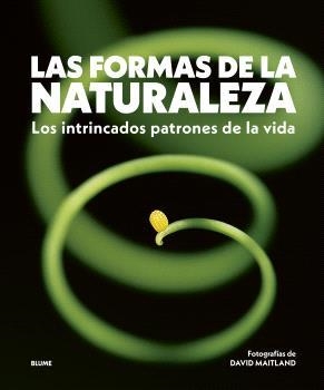 LAS FORMAS DE LA NATURALEZA. LOS INTRINCADOS PATRONES DE LA VIDA | 9788410469822 | MAITLAND, DAVID