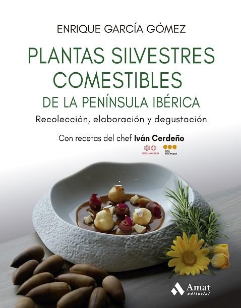 PLANTAS SILVESTRES COMESTIBLES DE LA PENÍNSULA IBÉRICA. RECOLECCIÓN, ELABORACIÓN Y DEGUSTACIÓN | 9788410451384 | GARCÍA GÓMEZ, ENRIQUE