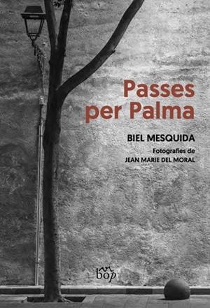 PASSES PER PALMA | 9788412619751 | MESQUIDA AMENGUAL, BIEL