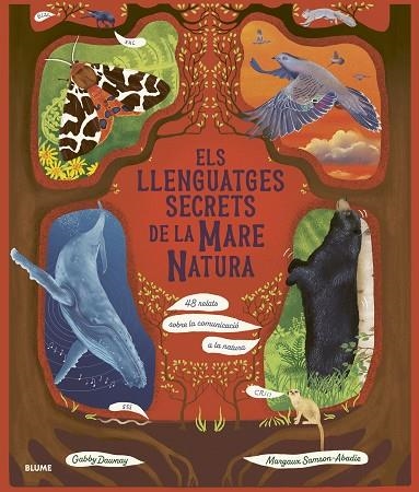 ELS LLENGUATGES SECRETS DE LA MARE NATURA. 48 RELATS SOBRE LA COMUNICACIÓ A LA NATURA | 9788410469952 | DAWNAY, GABBY/SAMSON ABADIE, MARGAUX