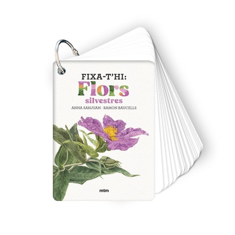 FIXA-T'HI: FLORS SILVESTRES. PETITA GUIA PER INICIAR-SE EN L'OBSERVACIÓ DE LES FLORS | 9788410407589 | SANJUAN LLORENS, ANNA/BAUCELLS COLOMER, RAMON
