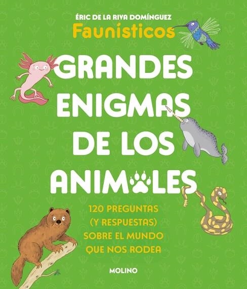 GRANDES ENIGMAS DE LOS ANIMALES. 120 PREGUNTAS (Y RESPUESTAS) SOBRE EL MUNDO QUE NOS RODEA | 9788427253698 | DE LA RIVA DOMÍNGUEZ (FAUNÍSTICOS), ÉRIC